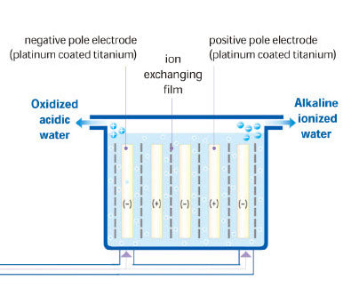 Replacement Filters for Ion Thrive Alkaline & Hydrogen Machines
